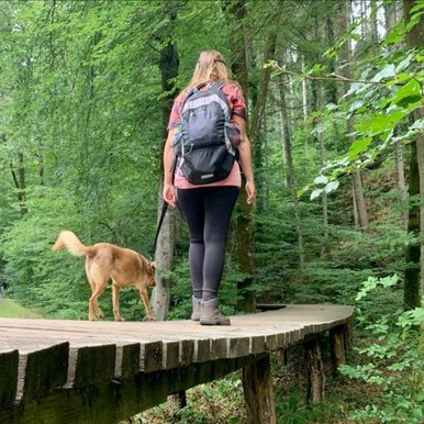 Urlaub mit Hund in der Nationalpark Region Hunsrück-Hochwald